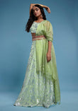 Pista Sleeveless Ruffle Lehenga Set - QUERATED